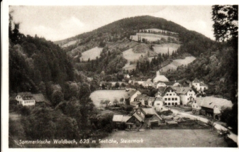 Waldbach (Steiermark) - A 1951 95 082 ** / ●